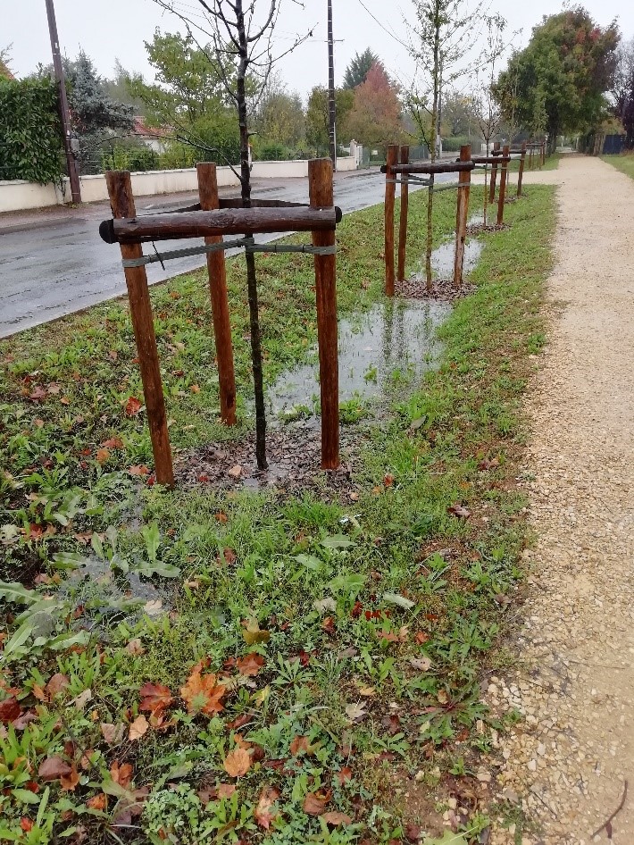 aménagements de giep sur Bignoux
