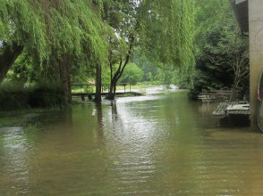 Restauration hydromorphologique de l’Airin, d'une zone humide et zone d'expansion de crue à Savigny-en-Septaine