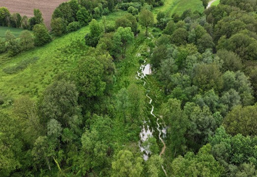 Restauration transversale de la vallée du Borgnet (Ille-et-Vilaine)
