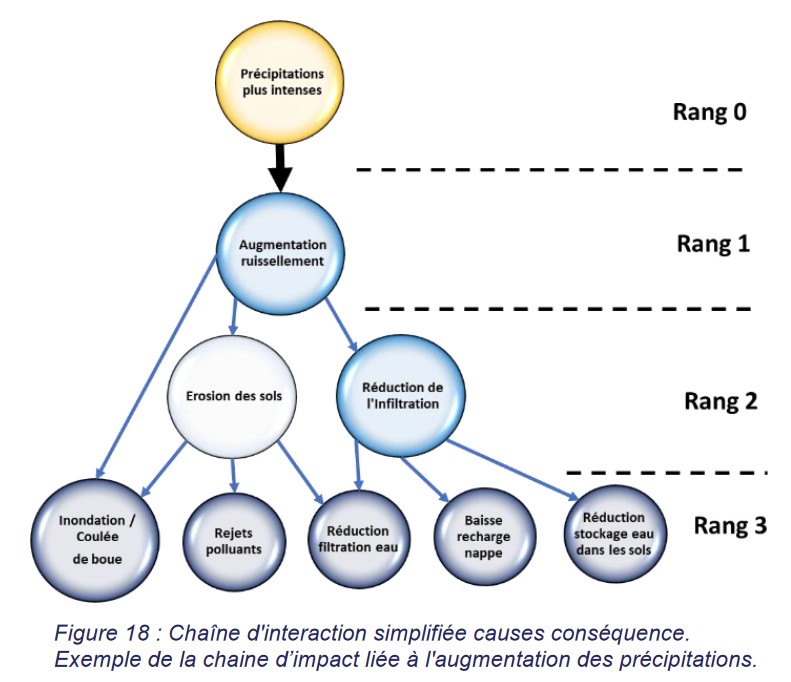 Chaîne d'interaction simplifiée causes conséquences
