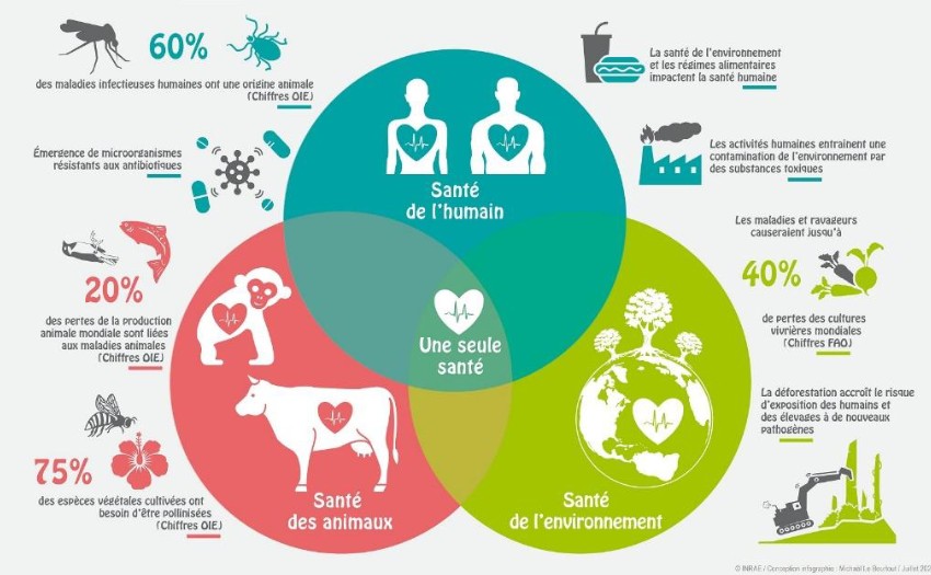 Représentation du concept 