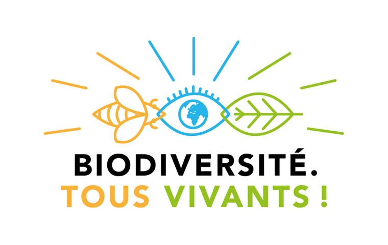 Image d'illustration