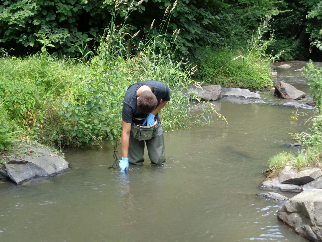 Un homme debout dans un cours d'eau controle la qualité de l'eau.