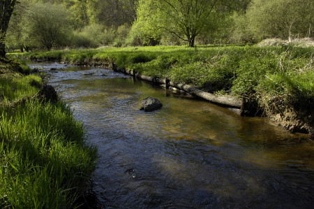 photo du ruisseau de l’Échandon