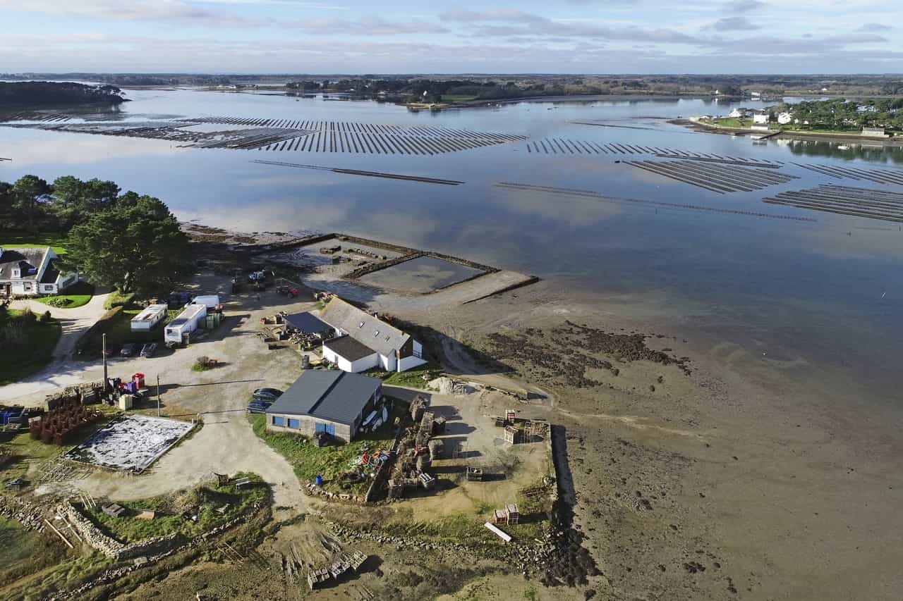 Vue aérienne de bord de mer avec des maisons et un parc à huitres