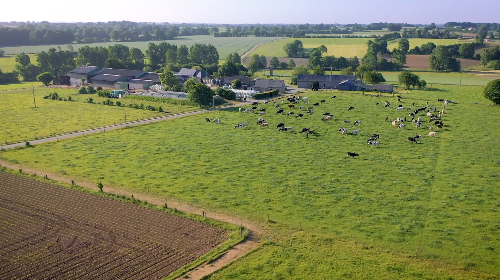parcelle agricole montrant du pâturage