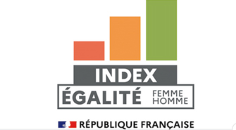 Index égalité femme homme - République française