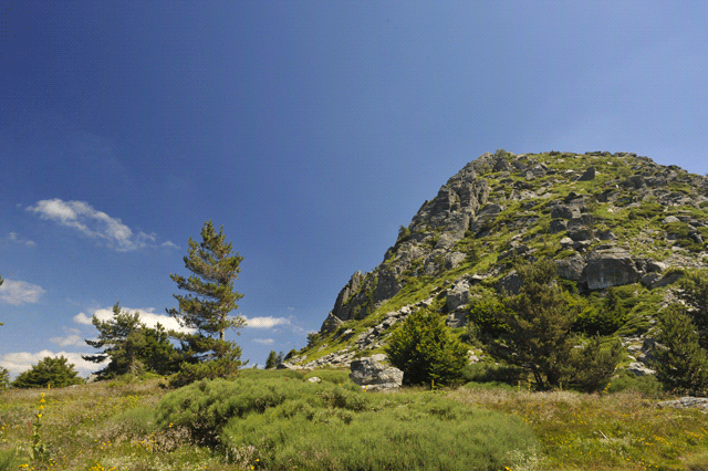 Photo prise au pied du Mont Gerbier-de-Jonc