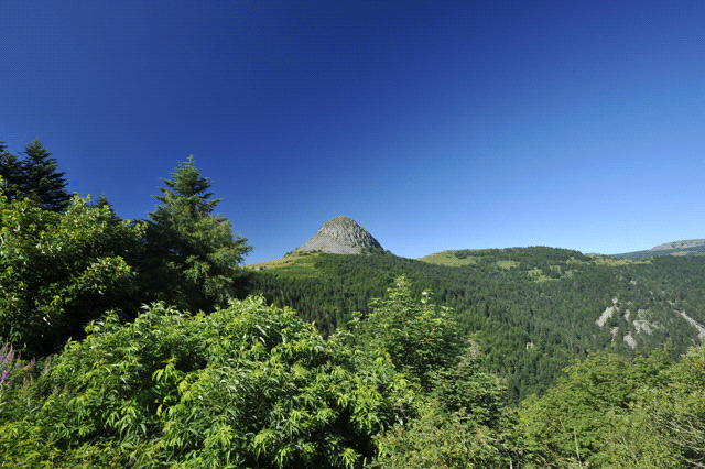 Photo de la vue du versant Sud-Ouest du Mont Gerbier-de-Jonc