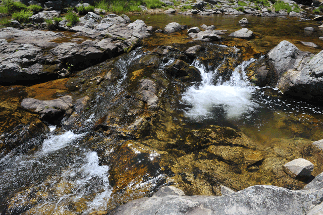 Photo de la Loire prise à proximité du Mont Gerbier-de-Jonc (Ardèche), en aval de sa source