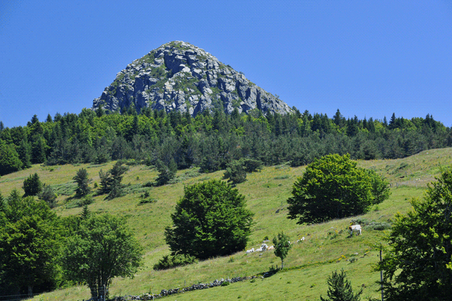Photo du versant Nord-Ouest du Mont Gerbier-de-Jonc