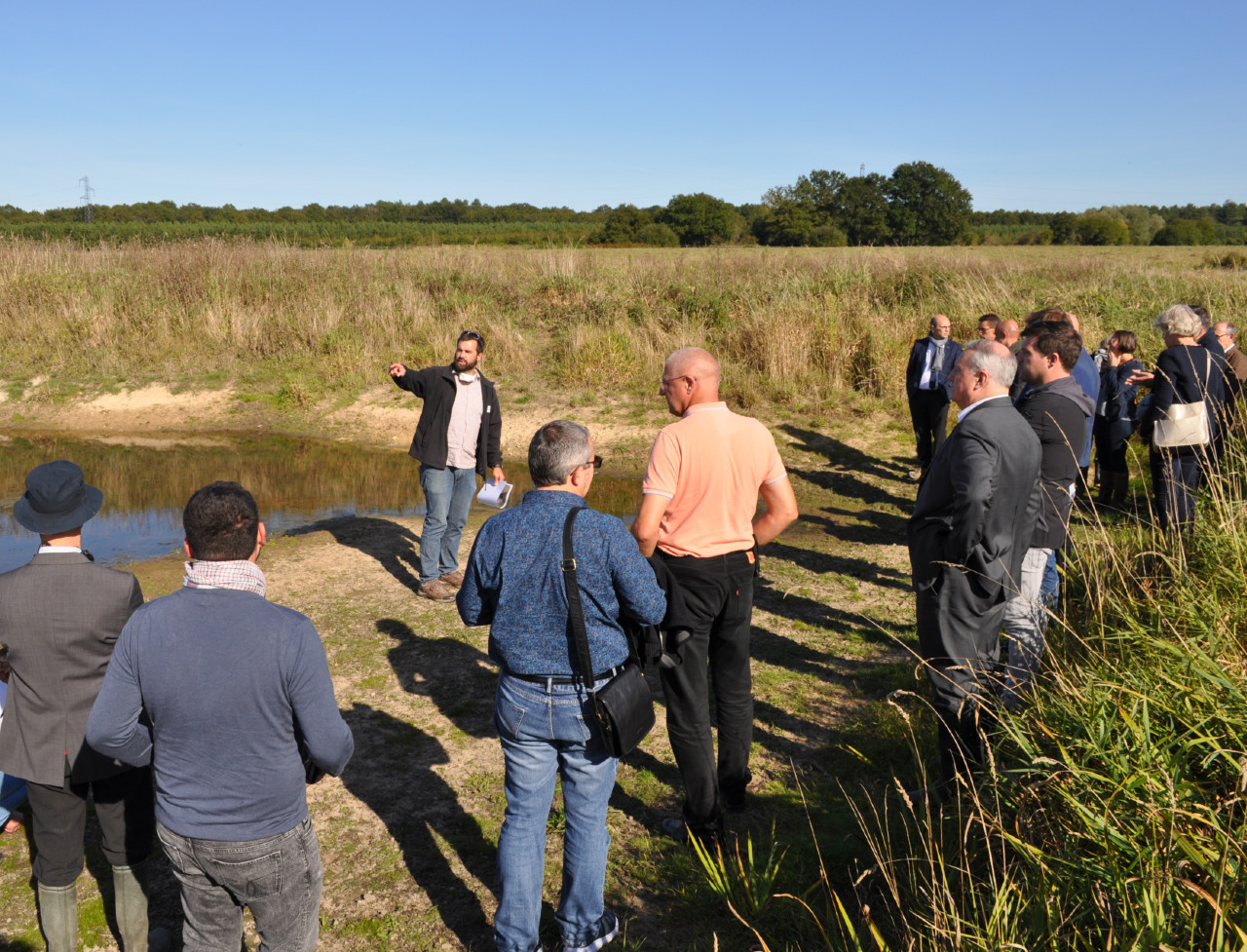 Visite sur le terrain de mares restaurées sur la commune de Lailly-en-Val