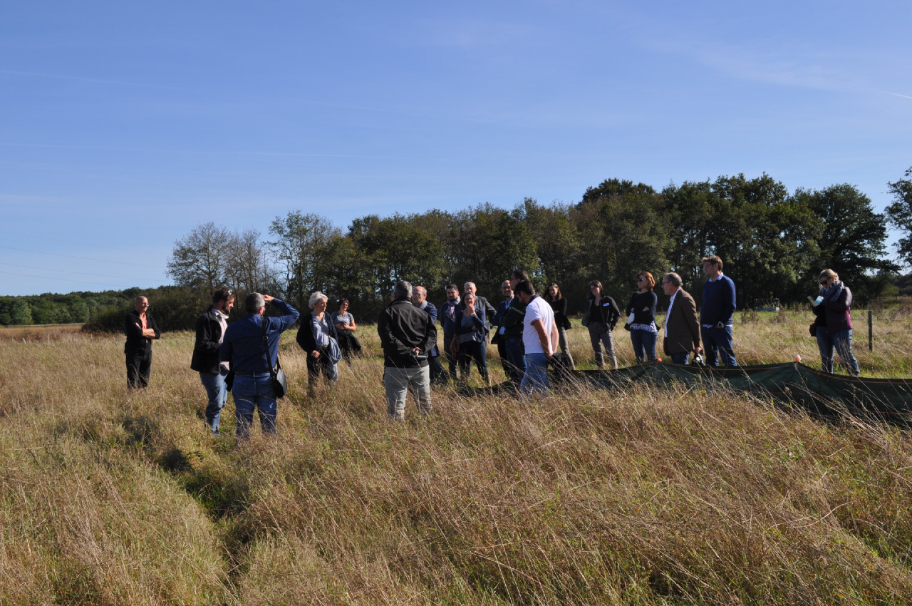 Visite sur le terrain de mares restaurées sur la commune de Lailly-en-Val