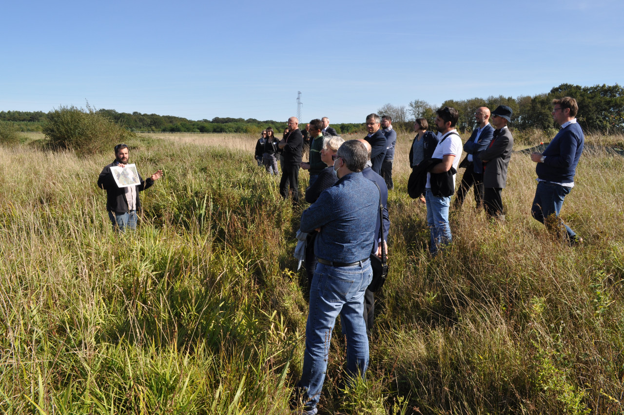 Visite sur le terrain de mares restaurées sur la commune de Lailly-en-Val