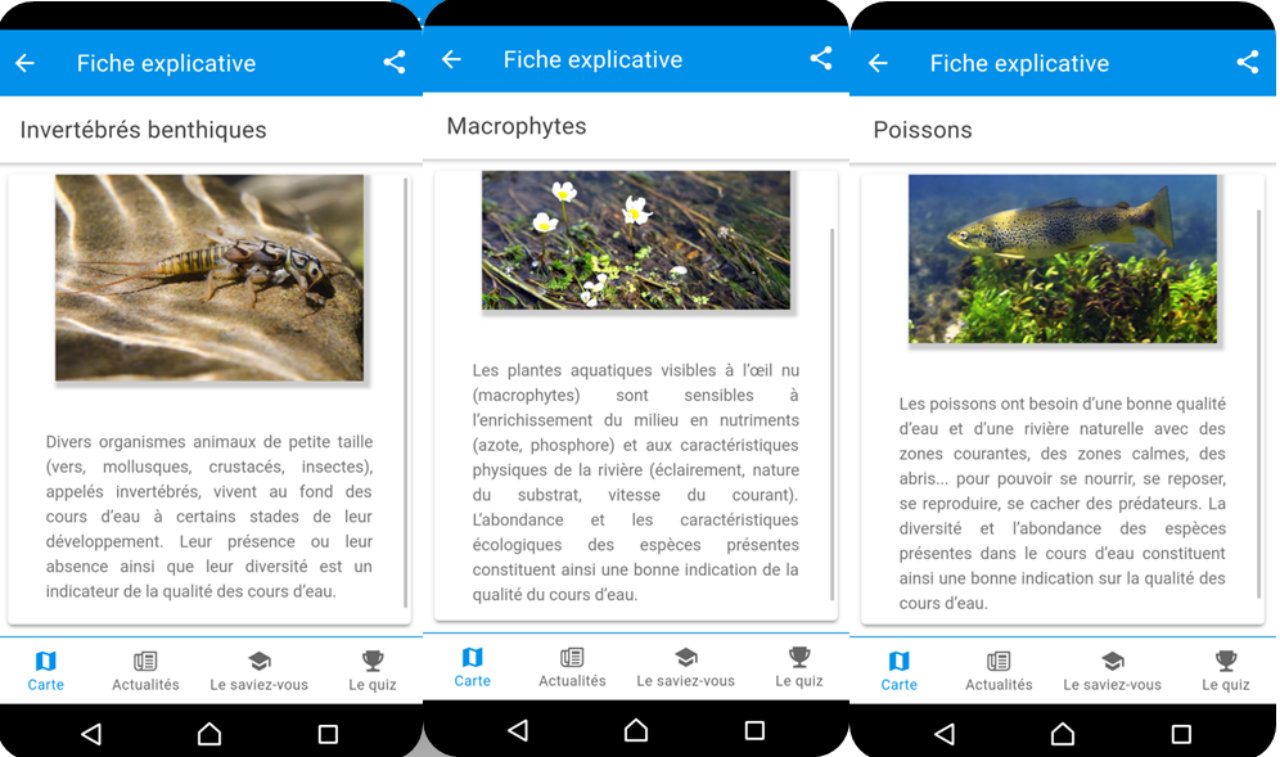 Image d'illustration