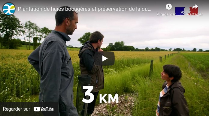 visuel illustration vidéo Trophée Plantation de haies bocagères et préservation de la qualité de l'eau